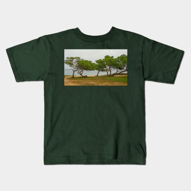 Premantura Coast in Istria, Croatia Kids T-Shirt by jojobob